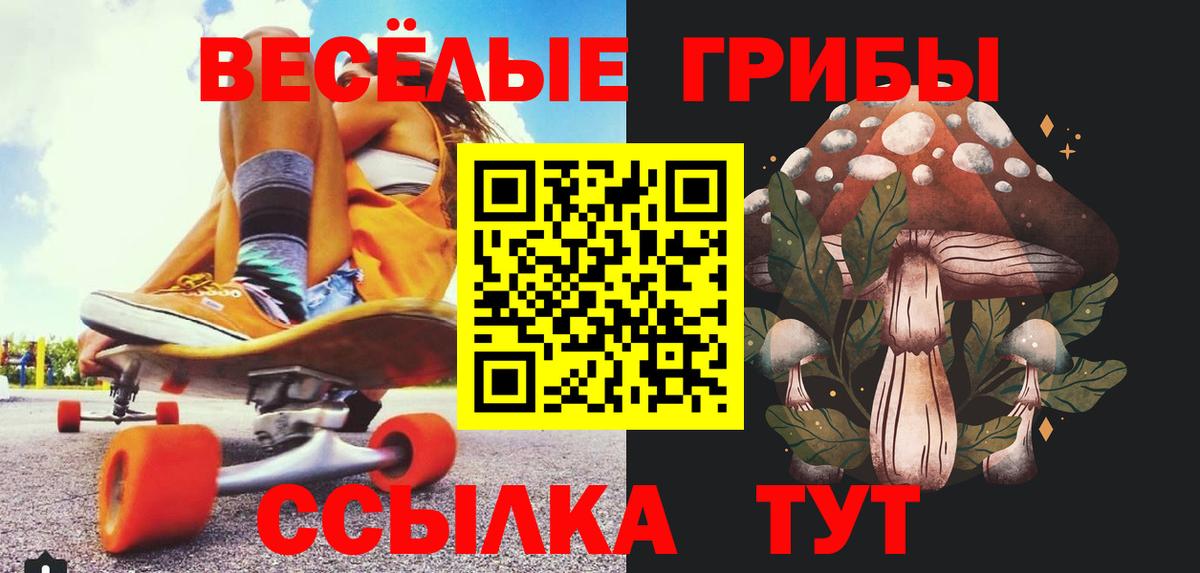 магазин продажи наркотиков  Галлюциногенные грибы MAGIC MUSHROOMS  Вход с VPN  Сафоново 