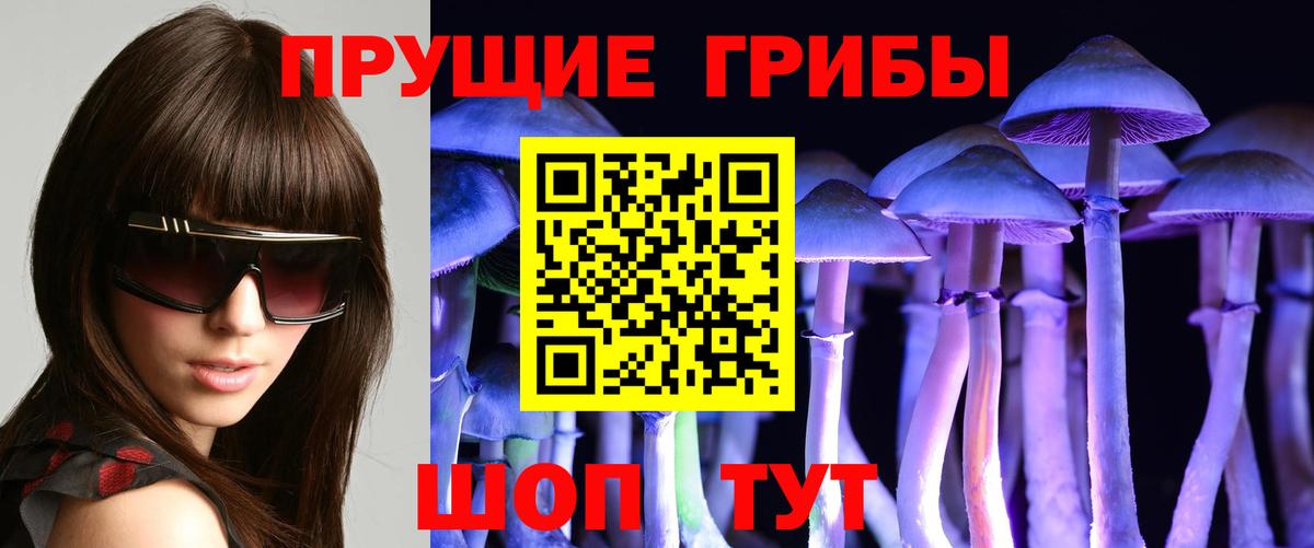 Псилоцибиновые грибы GOLDEN TEACHER Сафоново
